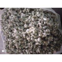 Cotton Seed -Paruthi vithai cattle feed - 50 kg bag
