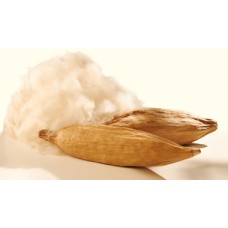 100% organic premium Kapok SEMAL (Silk Cotton  Ilavam Panju)-1500 Grams